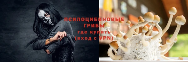 первитин Алексин