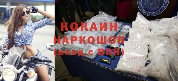 apvp Алзамай