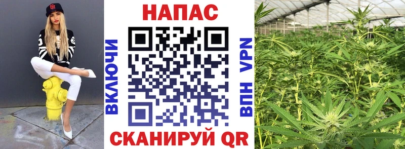 Марихуана гибрид Белгород